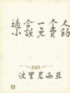 适合一个人看的小说免费的