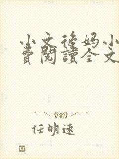 小文后妈小说免费阅读全文最新章节