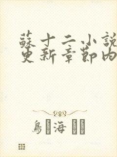 苏十二小说最新更新章节内容