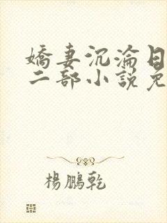 娇妻沉沦日记第二部小说免费阅读