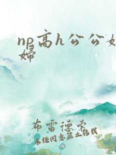 np高h公公媳妇