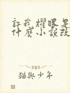 许我耀眼是根据什么小说改编