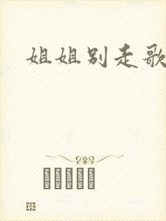 姐姐别走歌词