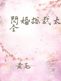 闪婚总裁太霸道全