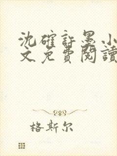 沈确许墨小说全文免费阅读