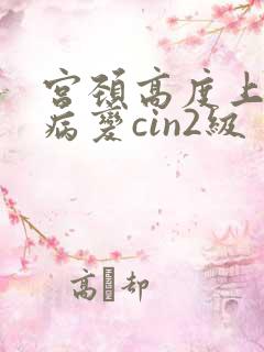 宫颈高度上皮内病变cin2级