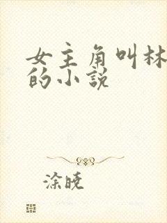 女主角叫林清妍的小说