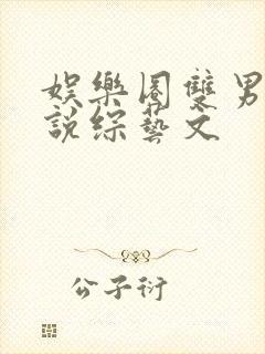 娱乐圈双男主小说综艺文