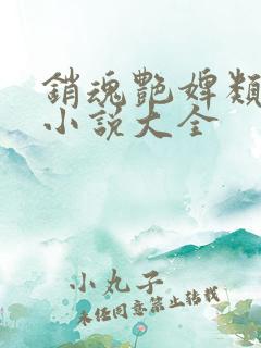 销魂艳婢类似的小说大全