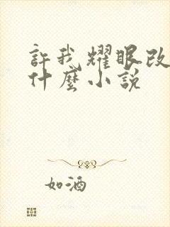 许我耀眼改编自什么小说