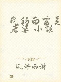 我的白富美总裁老婆 小说