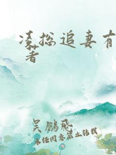 凌总追妻有点甜 著