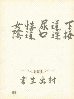 女性尿道下方和阴道口连接有肉芽