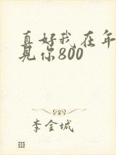 真好我在年少遇见你800