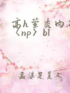 高h荤爽肉欲文〈np〉bl