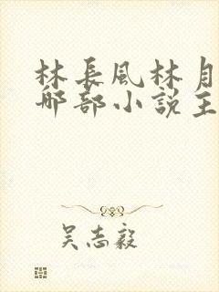 林长风林月曦是哪部小说主角