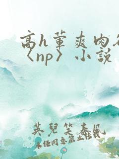 高h荤爽肉欲文〈np〉小说