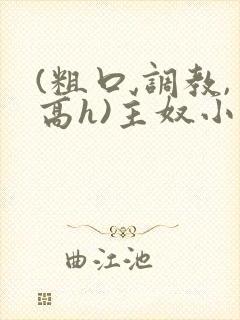 (粗口,调教,高h)主奴小说