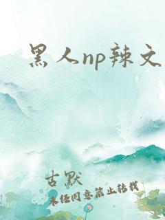 黑人np辣文