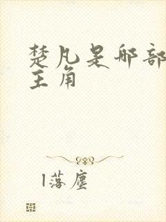 楚凡是哪部小说主角