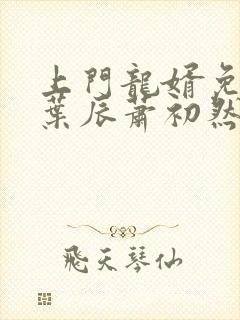 上门龙婿免全文叶辰萧初然