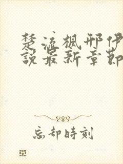 楚流枫邢伊珊小说最新章节更新内容