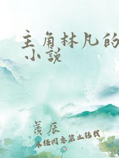 主角林凡的小说 小说