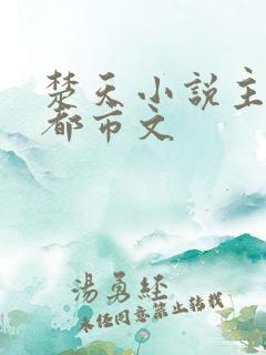 楚天小说主角是都市文