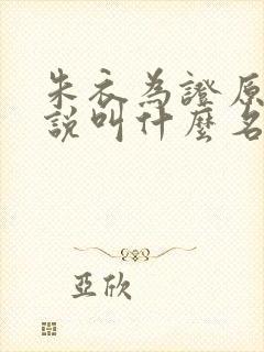 朱衣为证原著小说叫什么名字