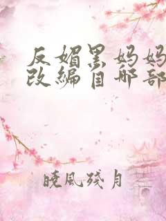 反媚黑妈妈小说改编自哪部小说