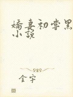 娇妻初尝黑人巨小说