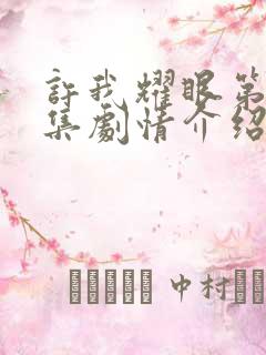 许我耀眼第10集剧情介绍