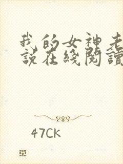我的女神老婆小说在线阅读