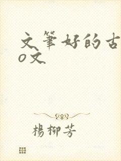 文笔好的古言po文