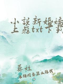 小说新婚娇妻宠上瘾txt下载