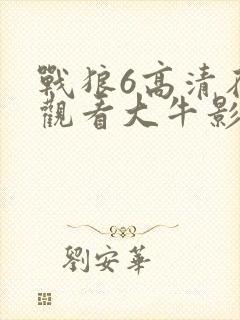 战狼6高清在线观看大牛影视