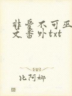 非爱不可巫哲全文番外txt