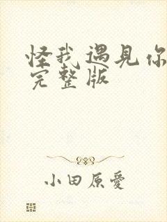 怪我遇见你太迟完整版