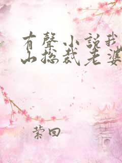 有声小说我的冰山总裁老婆