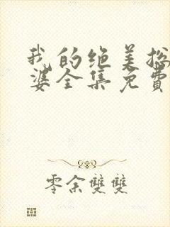 我的绝美总裁老婆全集免费