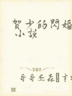 贺少的闪婚暖妻 小说