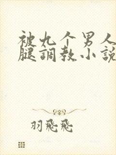 被九个男人扒开腿调教小说