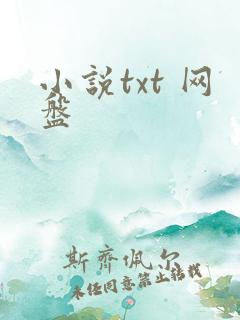 小说txt 网盘