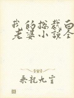 我的总裁白富美老婆小说全文在线阅读