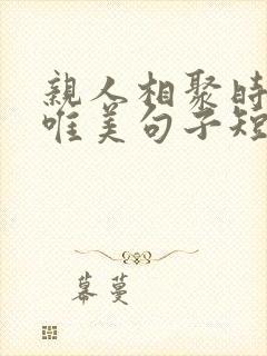 亲人相聚时光的唯美句子短句