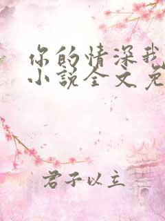 你的情深我不配小说全文免费阅读