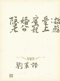 隐婚蜜爱:总裁老公宠上瘾 完本