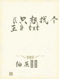 《只想找个温柔主》txt