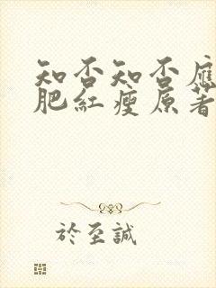 知否知否应是绿肥红瘦原著小说作者