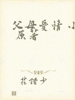 父母爱情 小说 原著